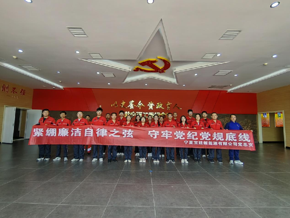 宝廷新能源党总支开展“紧绷廉洁自律之弦 守牢党纪党规底线”主题活动