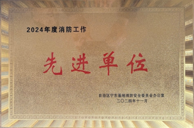 筑牢安全基石 强化消防管控|bv1946伟德官网荣获2024年度消防工作先进单位