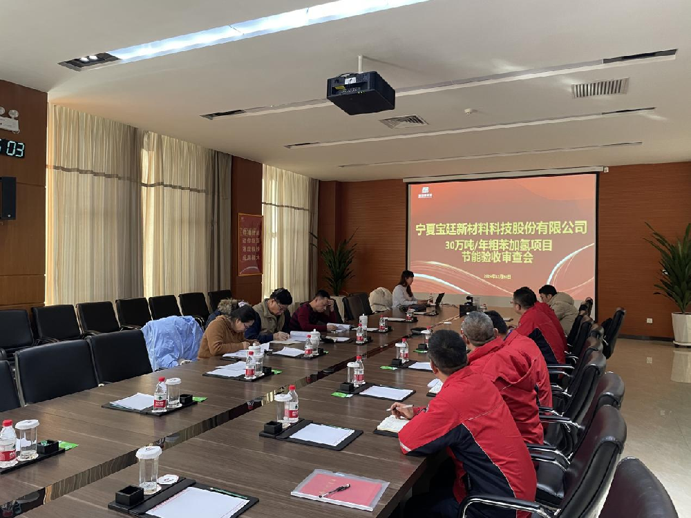 高端新材料项目一期——30万吨/年粗苯加氢精制工程项目节能验收圆满通过！