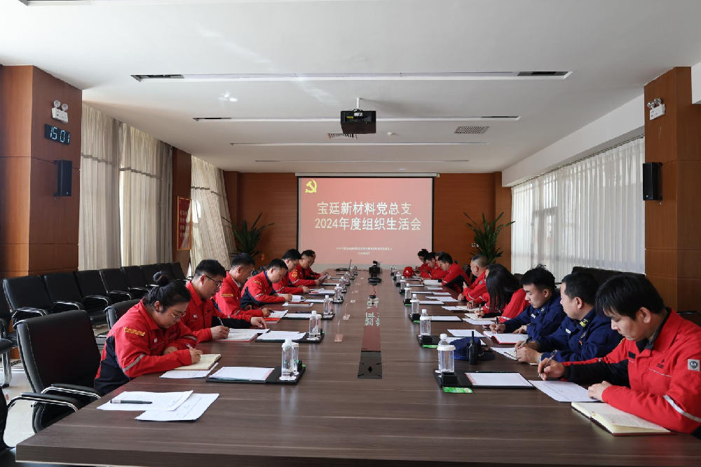 bv1946伟德官网党总支召开2024年度 组织生活会和民主评议党员大会